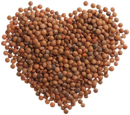 عدس برای سلامت قلب lentil-love